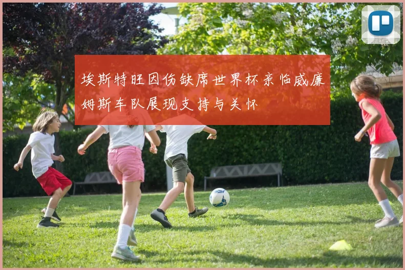 埃斯特旺因伤缺席世界杯亲临威廉姆斯车队展现支持与关怀