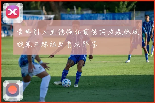黄蜂引入里德强化前场实力森林狼迎来三球组新首发阵容