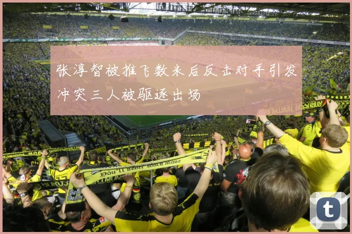 张淳智被推飞数米后反击对手引发冲突三人被驱逐出场