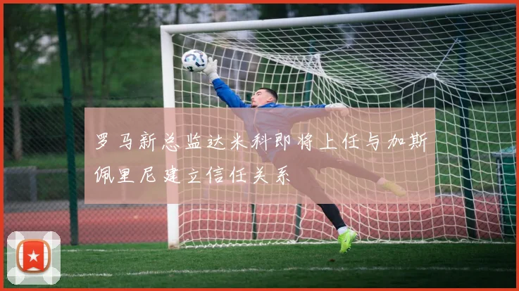 罗马新总监达米科即将上任与加斯佩里尼建立信任关系